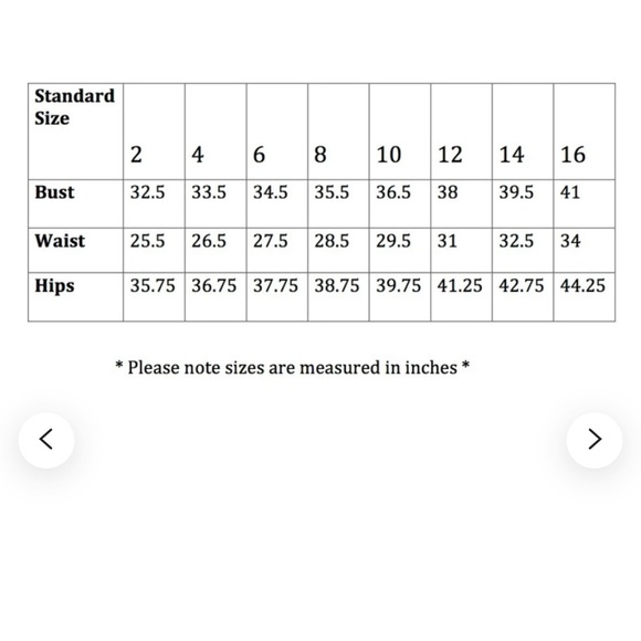 Champagne Lace Rehearsal Dinner Dress - Picture 6 of 6